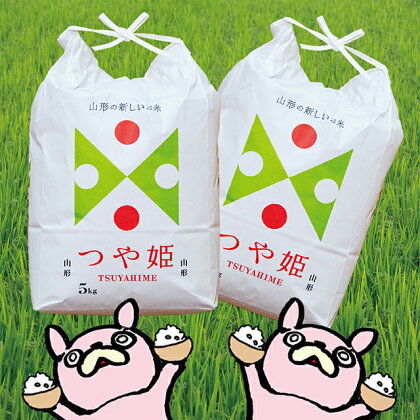 山形県 朝日町産 米 つや姫 令和5年産 10kg（5kg×2袋） 精米 2023年産 こめ コメ 送料無料