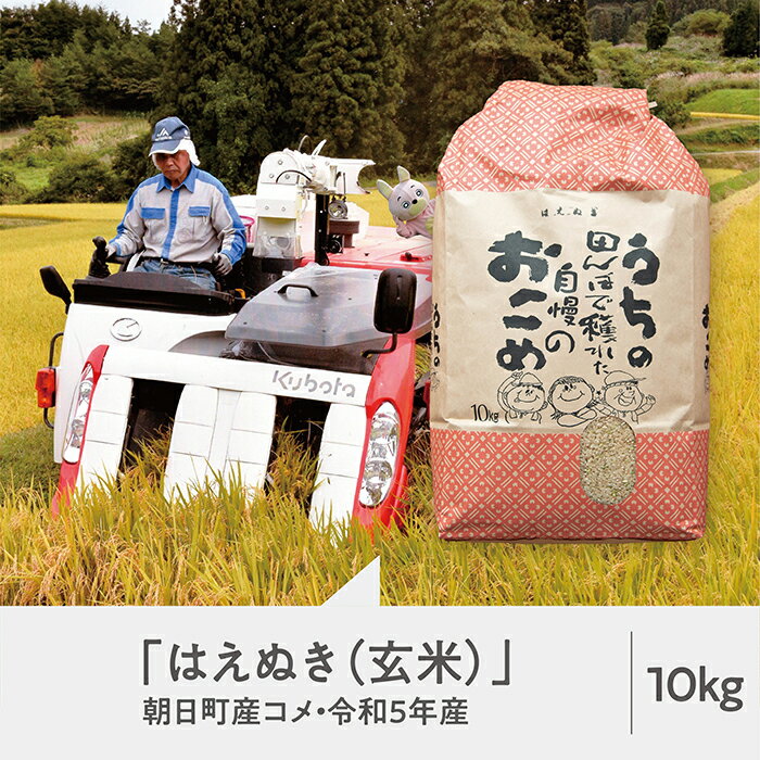 23位! 口コミ数「0件」評価「0」 山形県 朝日町産 はえぬき 玄米 令和5年産 10kg 2023年産 米 こめ コメ 送料無料