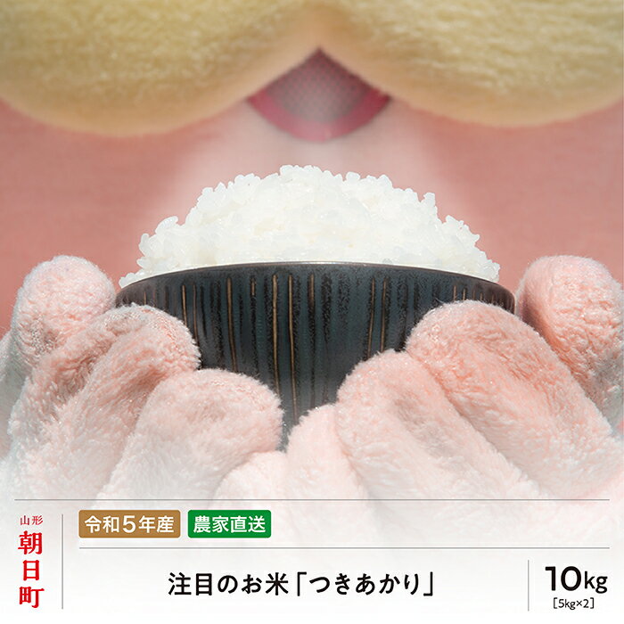 14位! 口コミ数「0件」評価「0」 山形県 朝日町産 米 つきあかり 令和5年産 10kg（5kg×2袋） 2023年産 精米 こめ コメ 送料無料