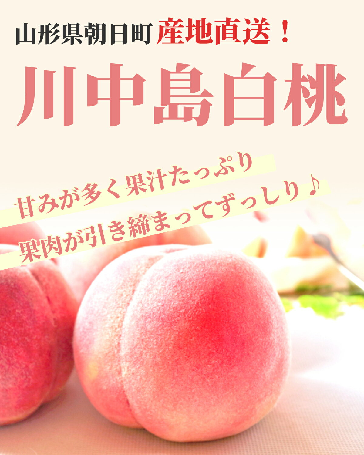 【ふるさと納税】農家直送 山形県 朝日町産 白桃 川中島 3kg 9～12個 秀品 山形産 もも モモ 桃 ピーチ 果物 フルーツ 夏 送料無料 糖度 クール便 冷蔵便 予約 先行予約