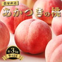 10位! 口コミ数「11件」評価「3.82」農家直送 山形県 朝日町産 白桃 あかつき 3kg 9～12個 秀品 山形産 もも モモ 桃 ピーチ 果物 先行予約 フルーツ 夏 送料無料