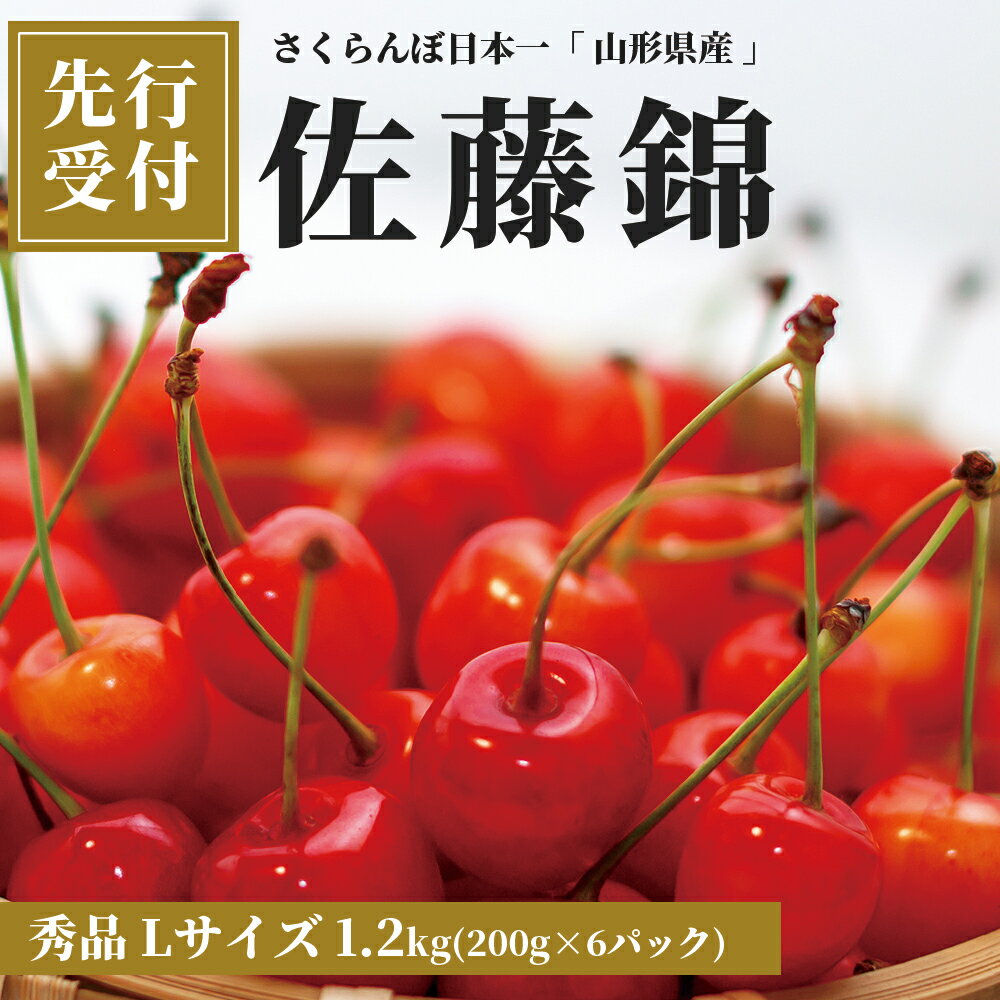 【ふるさと納税】山形県 朝日町産 さくらんぼ 佐藤錦 秀品 L 1.2kg 200g×6パック 農産物 フルーツ 山...