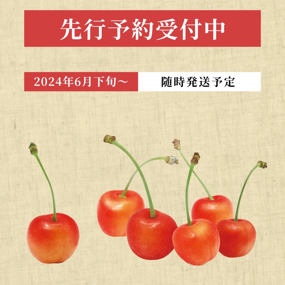 【ふるさと納税】山形県 朝日町産 さくらんぼ 佐藤錦 秀品 L 1kg 農産物 フルーツ 山形産 バラ詰め サクランボ 高級 果物 初夏 送料無料