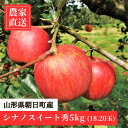 【ふるさと納税】 りんご シナノスイート 秀 5kg 16~20玉 農家直送 山形県 朝日町産 山形県産 果物 フルーツ リンゴ 林檎 秋 産地直送 送料無料