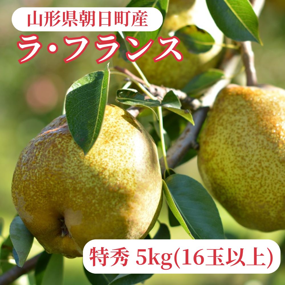 ラ・フランス 洋梨 5kg 16玉以上 特秀 山形産 山形 特産 産地直送 果物 フルーツ ラフランス 秋 山形県 朝日町産 送料無料