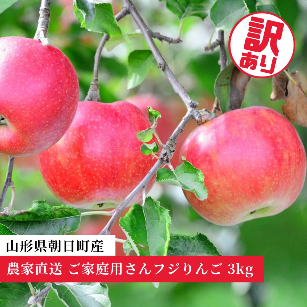 りんご ご家庭用 訳あり 「サンふじ」3kg 農家直送 山形県 朝日町産 山形県産 特産 果物 フルーツ リンゴ 林檎 秋 冬 送料無料