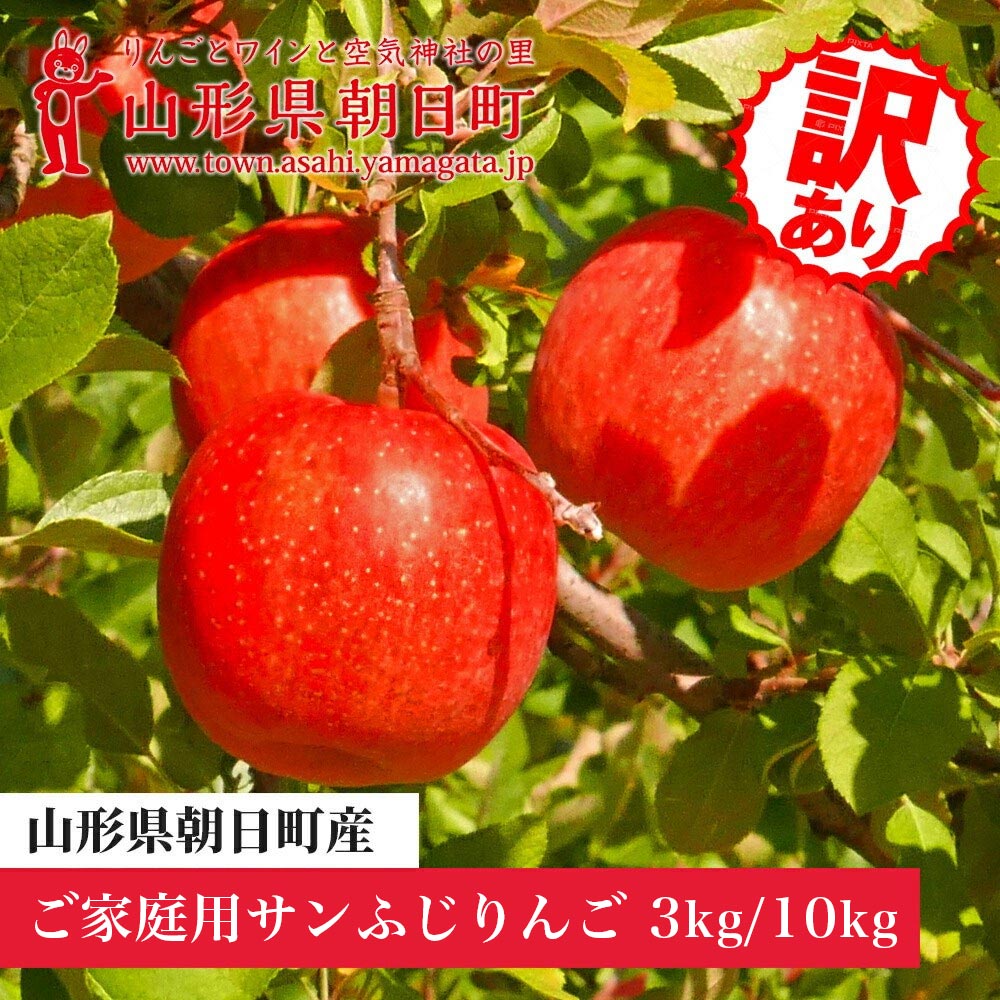 りんご [ ご家庭用 訳あり ] ふじりんご 選べる 3kg ・ 10kg [11月中旬〜12月中旬発送]サンふじ ふじ リンゴ 林檎 山形県 朝日町産 山形県産 特産 果物 フルーツ リンゴ 林檎 秋 冬 送料無料