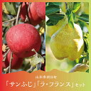 【ふるさと納税】ラ・フランス&サンふじ 詰合せ 5kg 各6〜9玉 秀品 贈り物 農家直送 山形県 朝日町産 山形県産 山形 特産 果物 フルーツ りんご リン...