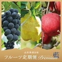 【ふるさと納税】フルーツ 3種類 定期便 ( ぶどう 洋梨 りんご ) 秀品 プレミアム 藍コース 農家直送 山形県 朝日町産 農産物 山形産 ブドウ ピオーネ ラ・フランス リンゴ サンふじ 果物 秋 冬 送料無料
