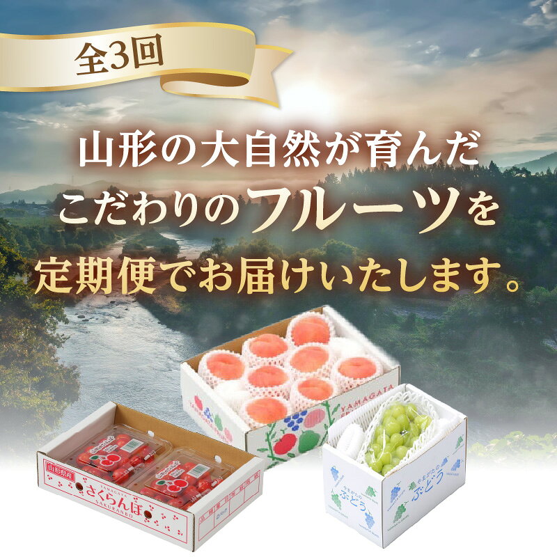 【ふるさと納税】【発送月固定】山形旬彩！こだわりフルーツ定期便全3回B ふるさと納税 定期便 さくらんぼ 桃 もも シャインマスカット 山形県 大江町 ご褒美 ピーチ フルーツ 果物