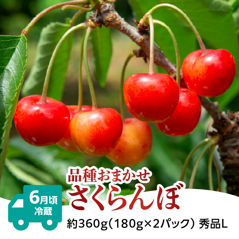 【ふるさと納税】【発送月固定】山形旬彩！こだわりフルーツ定期便全3回B ふるさと納税 定期便 さくらんぼ 桃 もも シャインマスカット 山形県 大江町 ご褒美 ピーチ フルーツ 果物 f063240-oe-10001572 山形県大江町 サンプル画像3