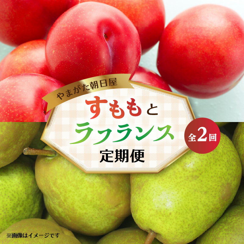 やまがた朝日屋 すももとラフランスの定期便[全2回] 果物 すもも ラフランス フルーツ定期便 お取り寄せ 旬 大石早生 ソルダム 太陽 サンルージュ 西洋梨 芳醇な香り 季節のフルーツ とろける果肉 贈答用 甘い ジューシー フルーツ ギフト 高級 大江 山形