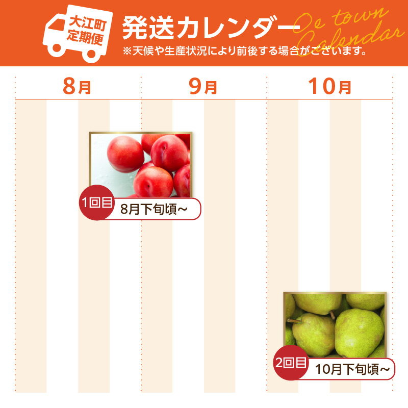 【ふるさと納税】やまがた朝日屋 すももとラフランスの定期便【全2回】 果物 すもも ラフランス フルーツ定期便 お取り寄せ 旬 大石早生 ソルダム 太陽 サンルージュ 西洋梨 芳醇な香り 季節のフルーツ とろける果肉 贈答用 甘い ジューシー フルーツ ギフト 高級 大江 山形