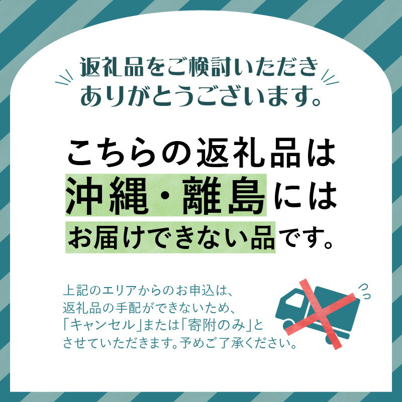 【ふるさと納税】《先行予約》特別栽培 訳あり 家庭用サンふじ約10kg 【2024年12月中旬頃～発送予定】【山形りんご・大江町産・鈴木果樹園】 2