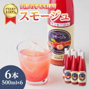 【ふるさと納税】 すもも果汁100%スモージュ500ml×6本 無添加 ストレート 山形県 大江町産 ギフト 贈答用 完熟 すもも 果汁100% ジュース レビ...