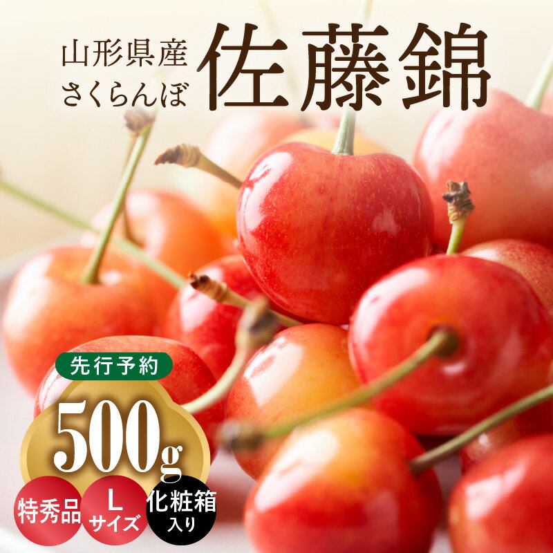 ≪先行予約≫さくらんぼ 佐藤錦 500g 特秀品 Lサイズ 化粧箱入[2024年6月中旬頃〜発送予定][山形県産さくらんぼ]