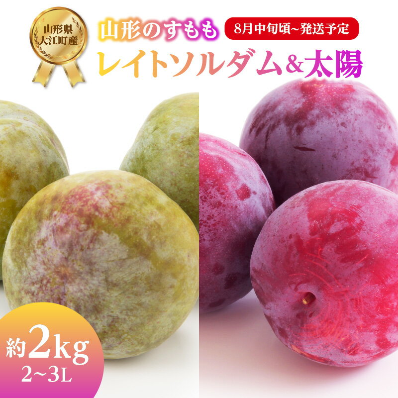 【ふるさと納税】《先行予約》すもも「レイトソルダム」「太陽」約2kg 2～3L【2024年8月中旬頃～発送予定】【山形プ…