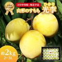 【ふるさと納税】《先行予約》すもも「光李（ひかり）」約2kg 2～3L【2024年8月中旬頃～発送予定】【山形プラム・大江町産】