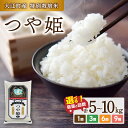 【ふるさと納税】大江町産 つや姫 選べる内容量・配送回数(5kg〜90kg) 令和6年産 2024年産米 米 ブランド米 お米 精米 単品 定期便【山形県産 特...