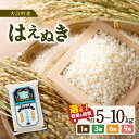 【ふるさと納税】【新米】大江町産 はえぬき 10月頃より発送予定 選べる内容量・配送回数(5kg〜90kg) 令和7年産 2025年産米 新米 米 ブランド米 ...