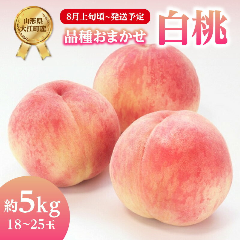 【ふるさと納税】《先行予約》品種おまかせ 白桃 約5kg(18～25玉)【2024年8月上旬頃～発送予定】大江町産 桃 もも 果物 フルーツ【山形県産もも】