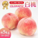 【ふるさと納税】《先行予約》おまかせ 白桃 約5kg（18～