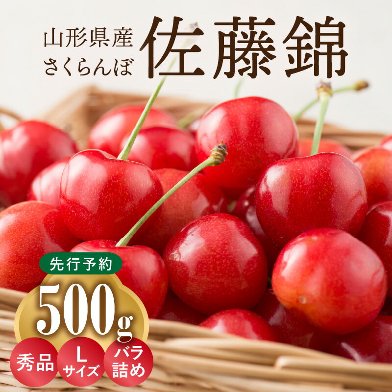 【ふるさと納税】《先行予約》さくらんぼ 佐藤錦 500g 秀品 Lサイズ バラ詰め 【2024年6月中旬頃～発送予定】【山形県産さくらんぼ】