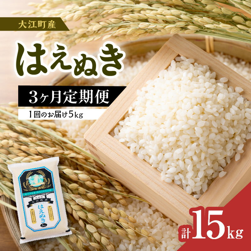 《3ヶ月定期便》大江町産 はえぬき 5kg×3ヶ月(計15kg)【山形県産】