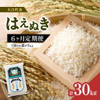 【ふるさと納税】《6ヶ月定期便》大江町産 はえぬき 5kg×6ヶ月(計30kg)【山形県産】