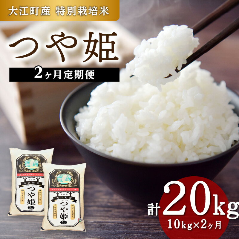 【ふるさと納税】《2ヶ月定期便》大江町産 つや姫 10kg(