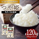 人気ランキング第29位「山形県大江町」口コミ数「0件」評価「0」《12ヶ月定期便》大江町産 つや姫 10kg(5kg×2袋)×12ヶ月(計120kg)【山形県産 特別栽培米】