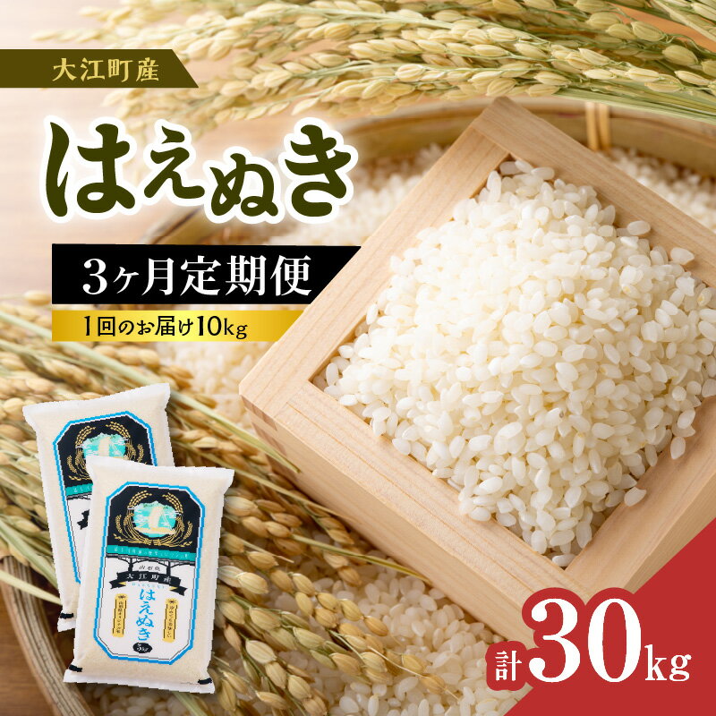 《3ヶ月定期便》大江町産 はえぬき 10kg(5kg×2袋)×3ヶ月(計30kg)【山形県産】