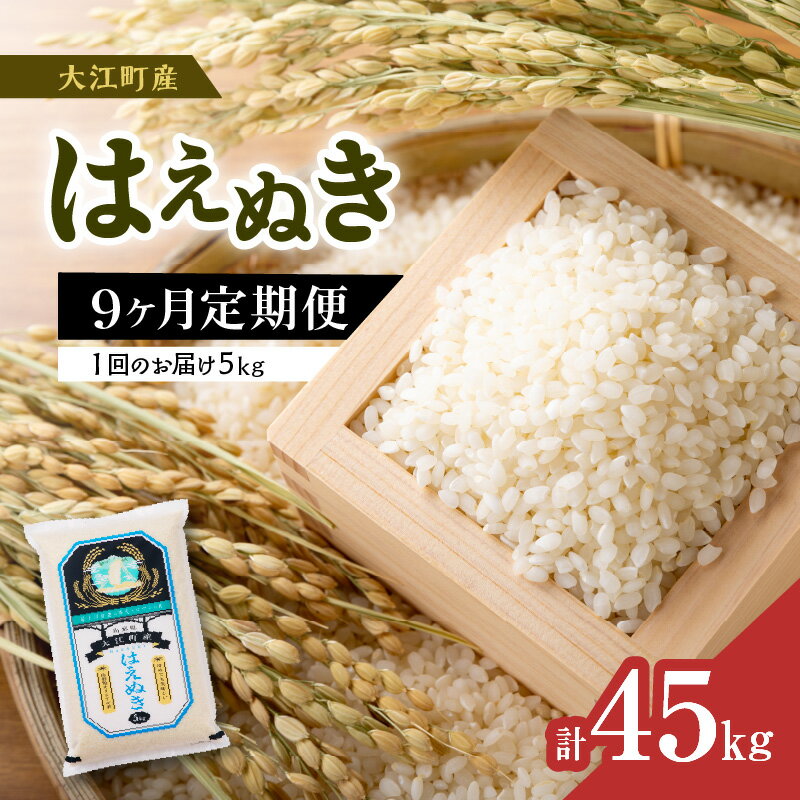 17位! 口コミ数「0件」評価「0」《9ヶ月定期便》大江町産 はえぬき 5kg×9ヶ月(計45kg) 令和5年産 米 ブランド米 お米 精米【山形県産】