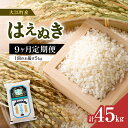 《9ヶ月定期便》大江町産 はえぬき 5kg×9ヶ月(計45kg)