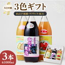 【ふるさと納税】 大江の恵 3色ギフト (山ブドウ原液、ラフランス、紅玉各1000ml) 飲料類 果汁飲料 果汁100% 産地直送 レビューキャンペーン