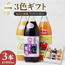 9位! 口コミ数「0件」評価「0」大江の恵 3色ギフト（山ブドウ原液、ラフランス、紅玉各1000ml）