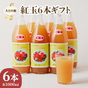 【ふるさと納税】 大江の恵 昔なつかしのすっきり紅玉6本ギフト(各1000ml) 飲料類 果汁飲料 果汁100% りんご ジュース 林檎 リンゴ アップル レビューキャンペーン