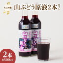 10位! 口コミ数「0件」評価「0」大江の恵 山ぶどう原液2本セット(各500ml）