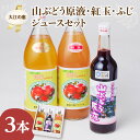 9位! 口コミ数「0件」評価「0」大江の恵 山ぶどう原液500ml紅玉・ふじ1Lジュースセット