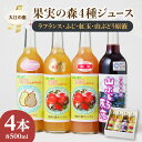 7位! 口コミ数「0件」評価「0」大江の恵 果実の森4種ジュース(各500ml山ブドウ・ラフランス・フジ紅玉）