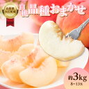 【ふるさと納税】白桃 品種お任せ 3kg(8玉~13玉)【道の駅おおえ】 果物 白桃 果汁 果実 旬 フルーツ 夏秋の果物 ジューシー 季節限定 ソルダム 大陽 サンルージュ サンセプト サンローゼス 愛李 笑李 晩生太陽 果汁たっぷり 甘酸っぱい 産地直送 贈答用 追熟 山形