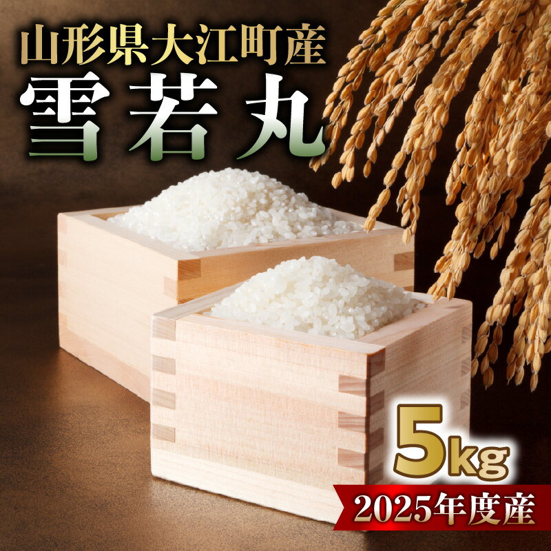 【ふるさと納税】山形県大江町産 雪若丸5kg【2025年度産米】 山形県 大江町 雪若丸 5キロ 2025年度産米 精米 お米 コメ ご飯