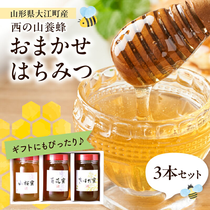 山形県大江町 西の山養蜂 生はちみつ(ピュアハニー)3本セット 山形県 大江町 はちみつ 蜂蜜 生蜂蜜 生はちみつ 天然 山桜蜜 アカシア蜜 キハダ蜜 百花蜜