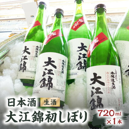 日本酒（生酒）大江錦初しぼり720ml×1本