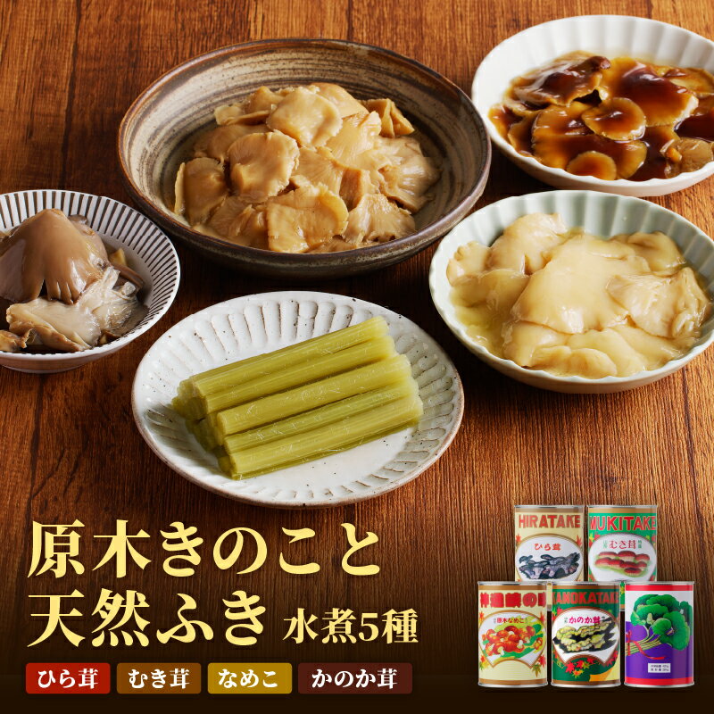 【ふるさと納税】 大江町柳川産 原木きのこ天然ふき水煮セット5種1080g(固形量)