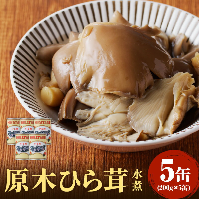 【ふるさと納税】 大江町柳川産 原木ひら茸水煮200g×5缶(固形量)