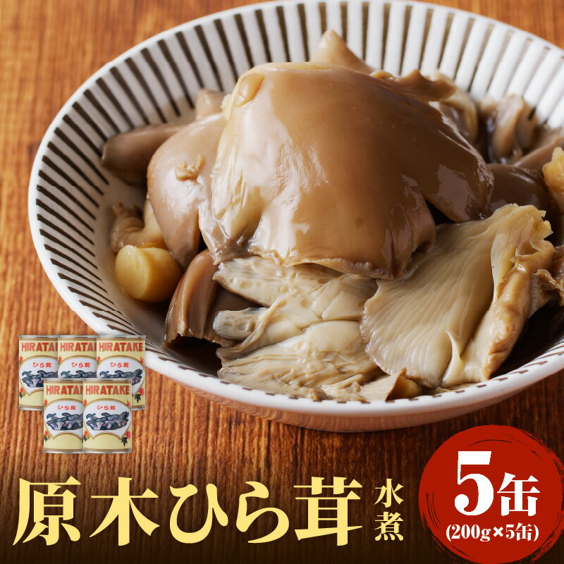 28位! 口コミ数「0件」評価「0」大江町柳川産 原木ひら茸水煮200g×5缶(固形量）