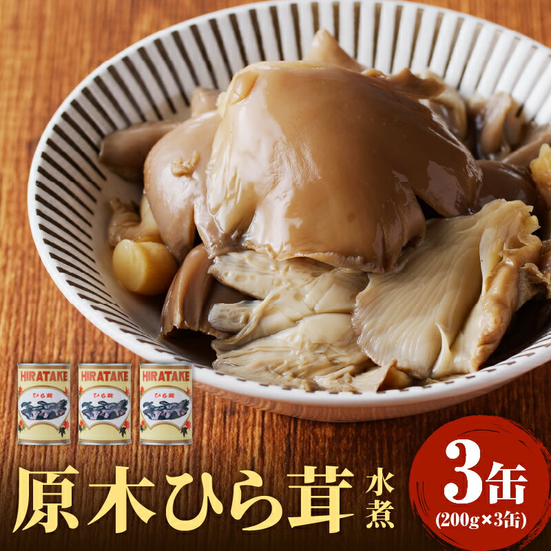 大江町柳川産 原木ひら茸水煮200g×3缶(固形量)