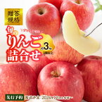 【ふるさと納税】《先行予約》贈答規格 旬のりんご詰合せ約3kg（サンふじ確約3種以上）特秀～秀 大江町産【2024年12月上旬頃～発送予定】【大江町産・山形りんご・りんご専科 清野哲生】