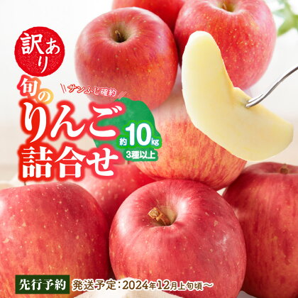 《先行予約》訳あり 旬のりんご詰合せ約10kg（サンふじ確約3種以上）【2024年12月上旬頃～発送予定】【大江町産・山形りんご・りんご専科 清野哲生】